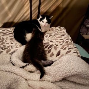 Meet your Posher, Theresa